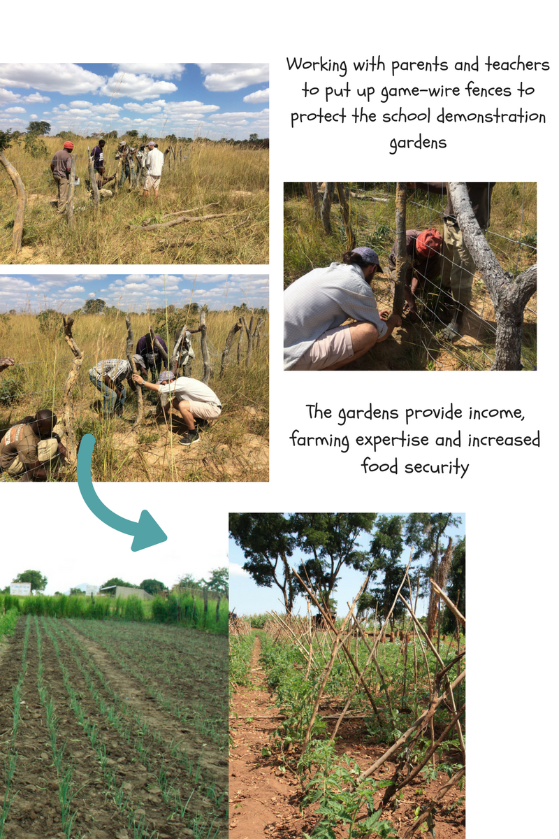 African Revival work in Zambia, Africa