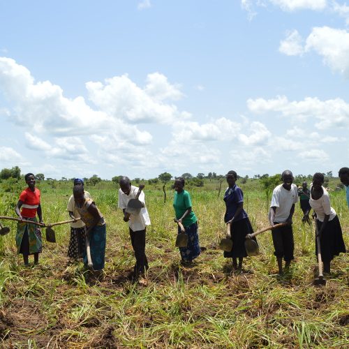 Otong Uganda people farming in a field